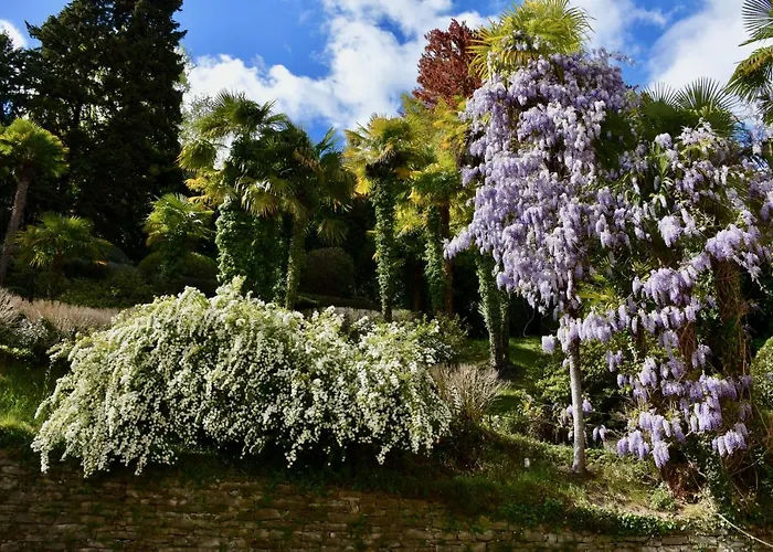 公寓 Belle Ile View *