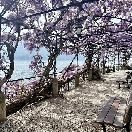 Apartament Belle Ile View *